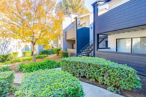 a house with a sidewalk and hedges in front of it