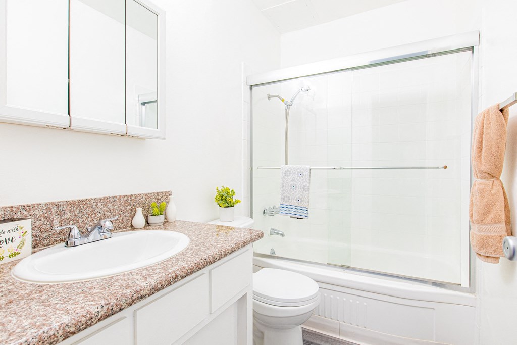 a bathroom with a sink and a shower and a toilet
