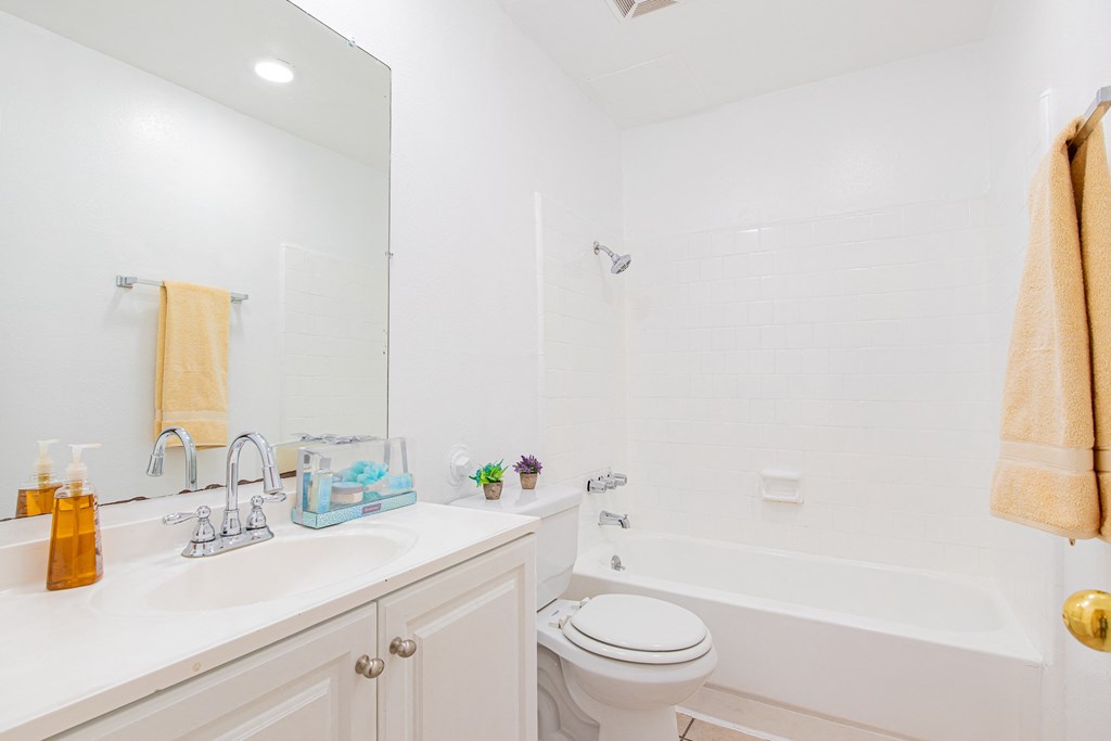 a bathroom with a sink and a toilet and a tub