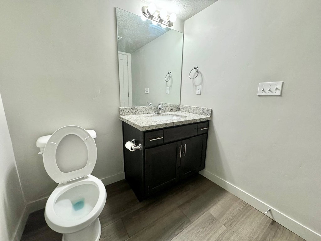 a bathroom with a toilet and a sink and a mirror