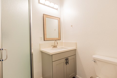 a bathroom with a sink and toilet and a shower