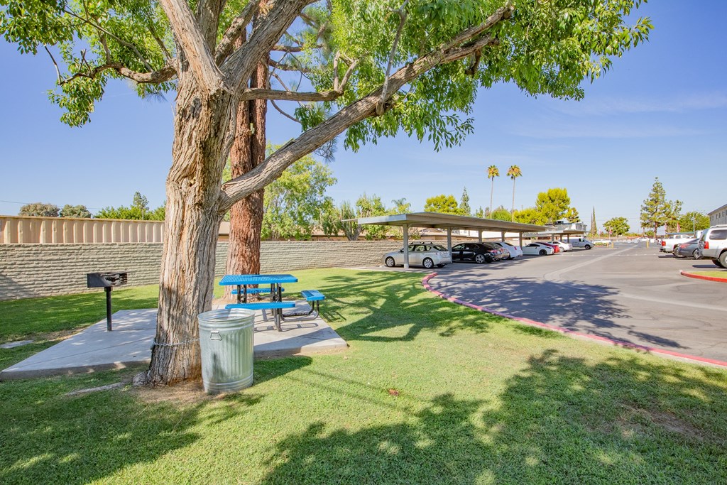 a picnic table under a tree next to a parking lot