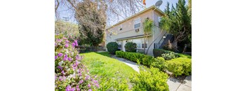 the front yard of a house with a walkway and some bushes and trees