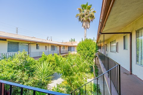 a view of the courtyard of a building with a palm tree