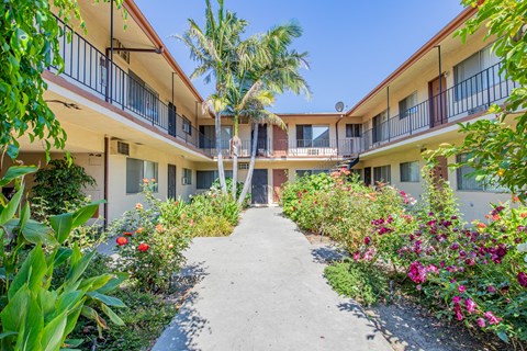 the pathway between the units of the courtyard at the resort