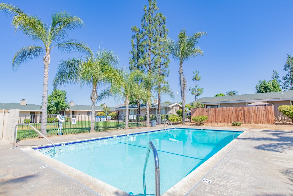 a swimming pool with palm trees in front of a building