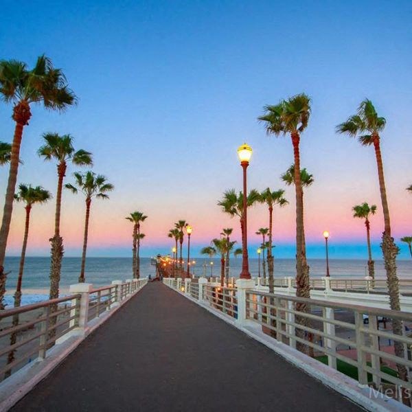 a pier with palm trees and the ocean at sunset