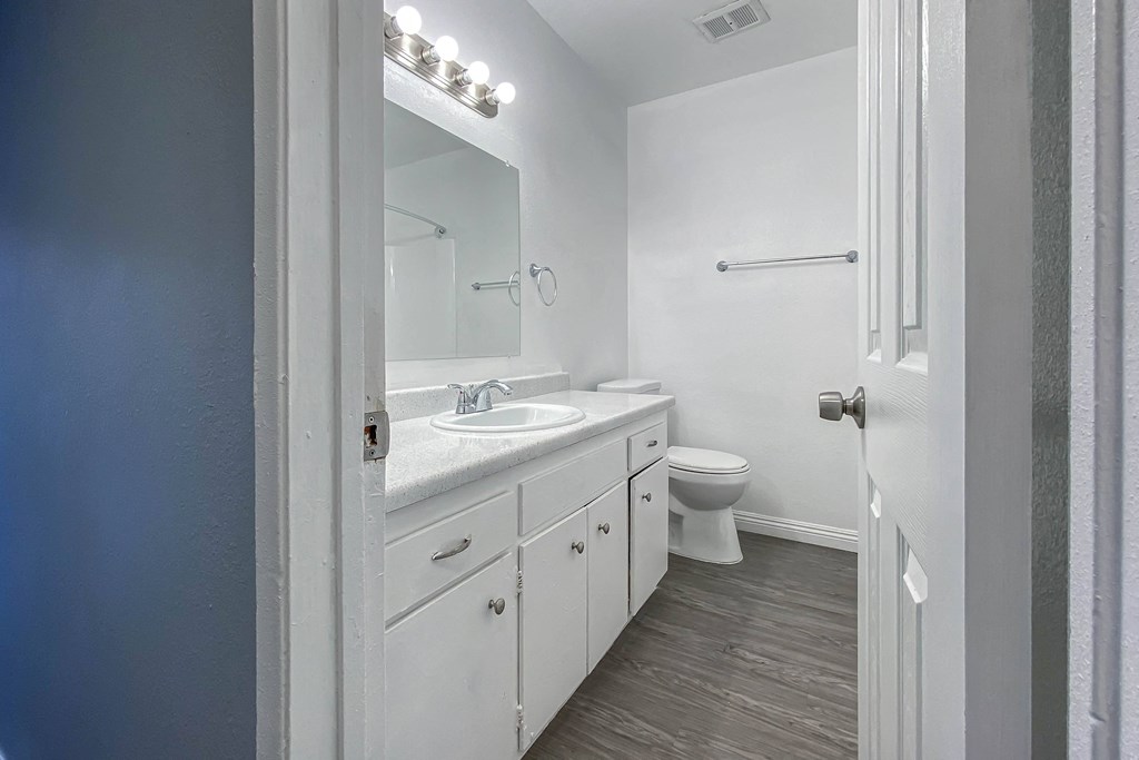 a bathroom with a sink and a toilet and a mirror