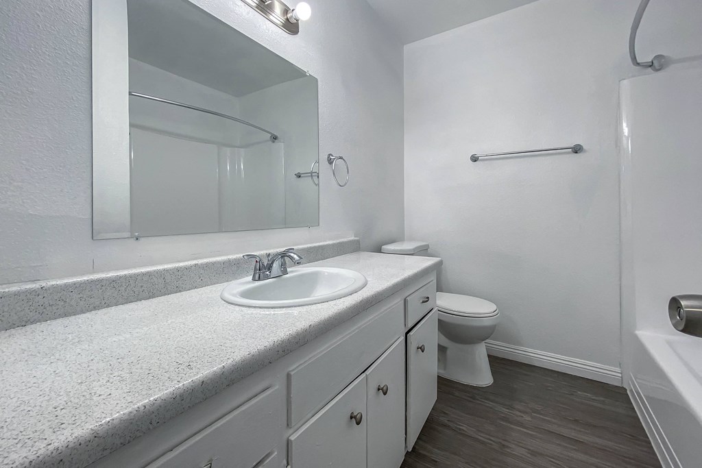 a bathroom with a sink and a toilet and a mirror