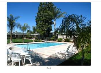 23925 Eucalyptus Ave Studio-2 Beds Apartment for Rent - Photo Gallery 2