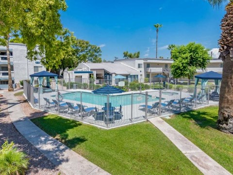 Pool at Sofia Apartments, Tempe, 85283
