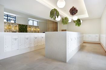 A white reception desk with a green plant on top.