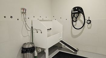 A white sink in a bathroom with a black bag underneath it.