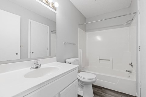 a bathroom with a sink and a toilet and a shower