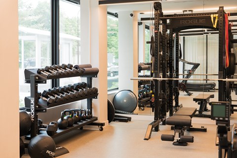 A gym with a variety of equipment including a squat rack, bench, and dumbbells.