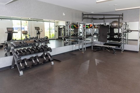 A gym with a variety of equipment including weights and a bench press.