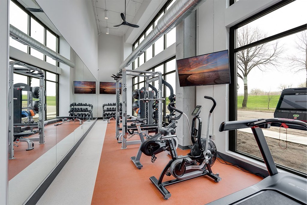 the gym has plenty of exercise equipment and windows