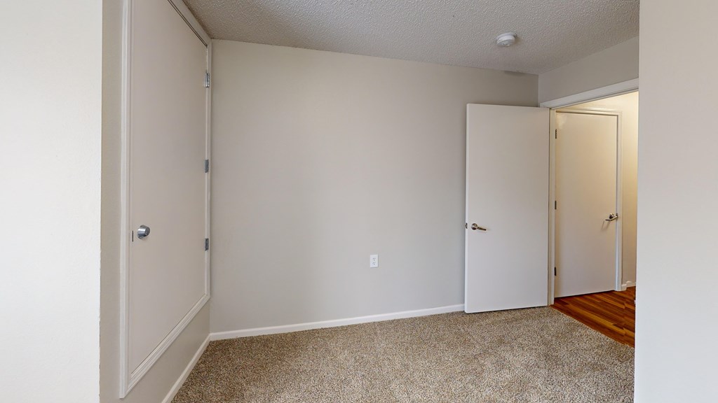 A room with a carpeted floor and two doors.