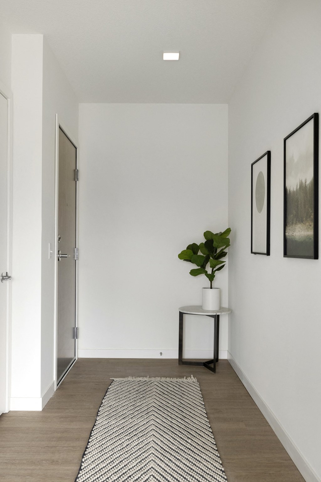 a small entryway with white walls and a white plant on a black and white side table