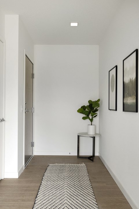 a small entryway with white walls and a white plant on a black and white side table