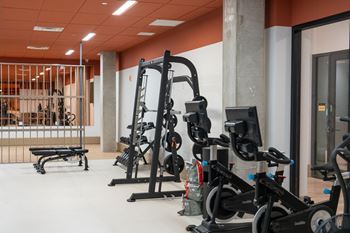 A gym with a variety of equipment including treadmills, weights, and a bench.
