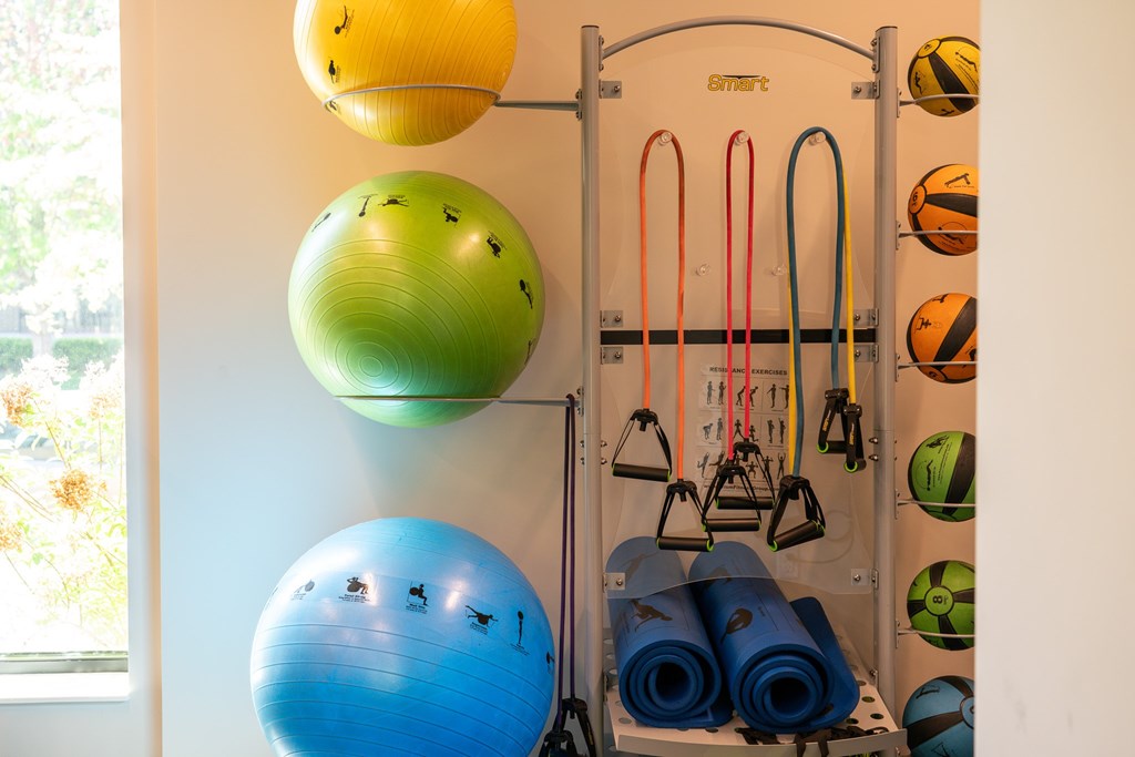 A collection of exercise equipment including exercise balls and resistance bands.