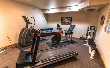 A home gym with a treadmill, exercise bike, and weights.