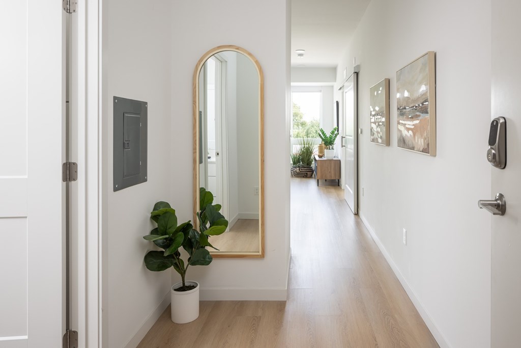 A hallway with a mirror and a plant.