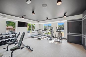 the gym has plenty of cardio equipment and windows