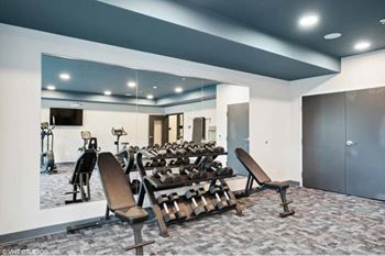 the gym in our apartments is equipped with a variety of weights and cardio equipment
