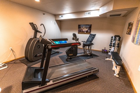 A treadmill is in the middle of a room with a bench and weights.