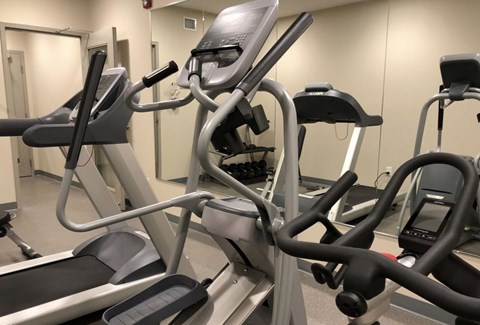 A row of treadmills and exercise bikes in a gym.