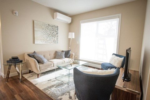 A living room with a grey sofa, a glass coffee table, and a television.