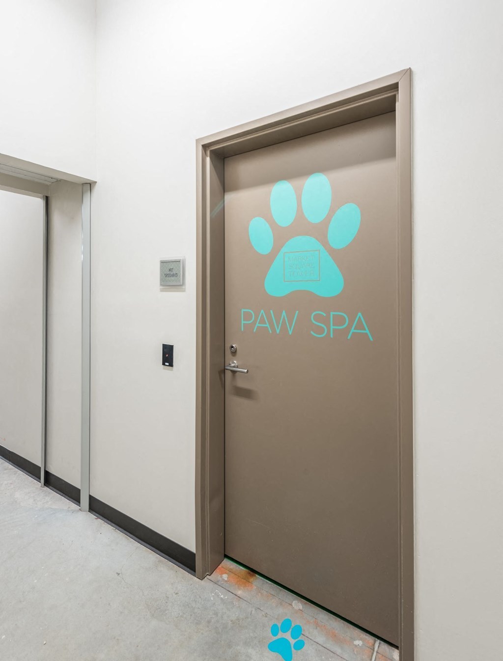 a dog wash room and spa room
