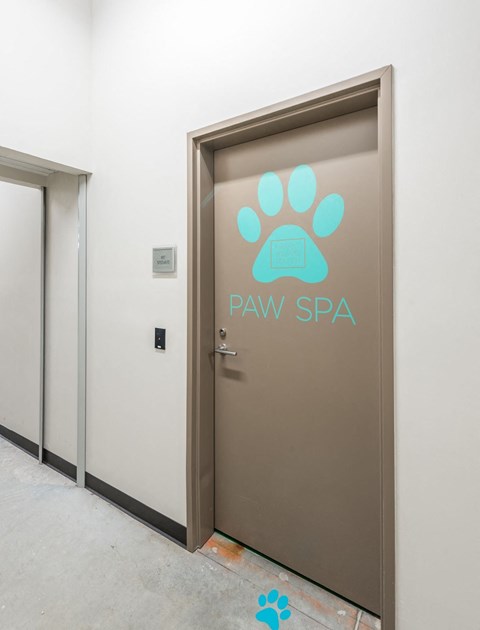 a dog wash room and spa room