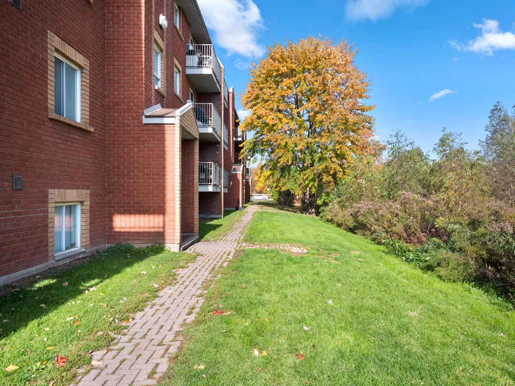 a grassy area with a tree in the background