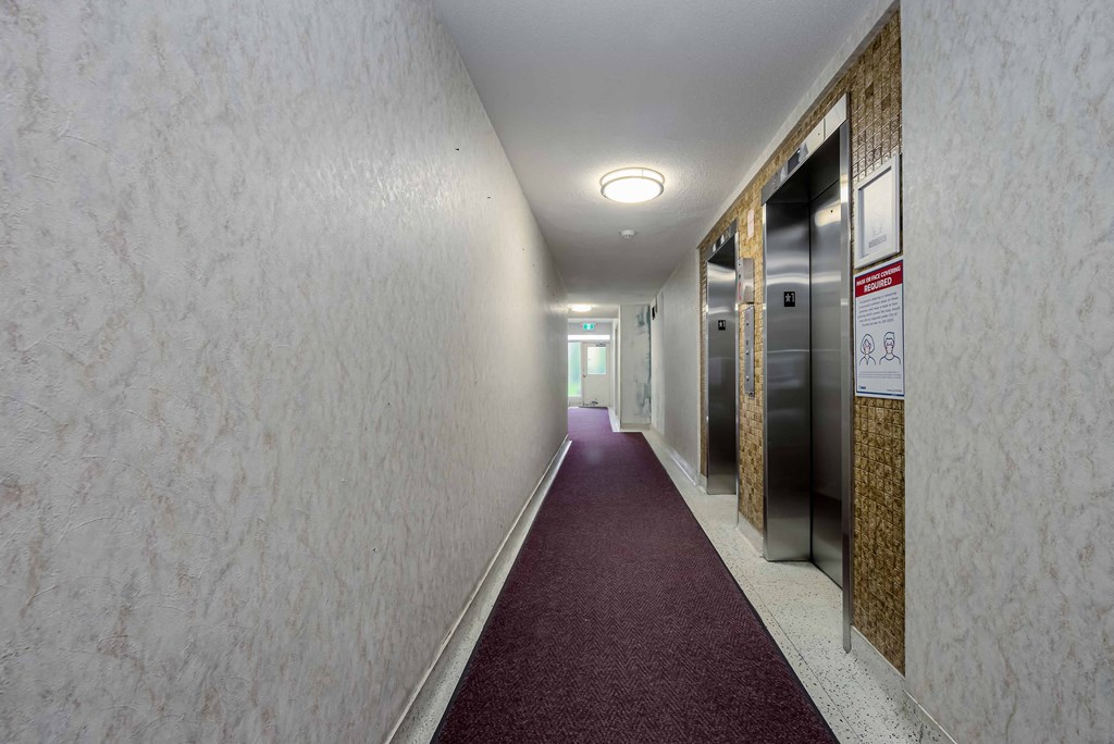 a corridor with a red carpet and a row of elevators