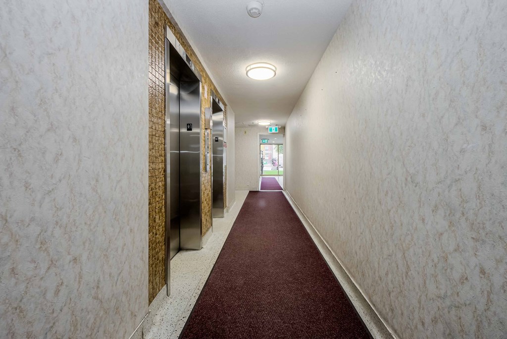 a photo of a corridor with a burgundy carpet and a row of elevators