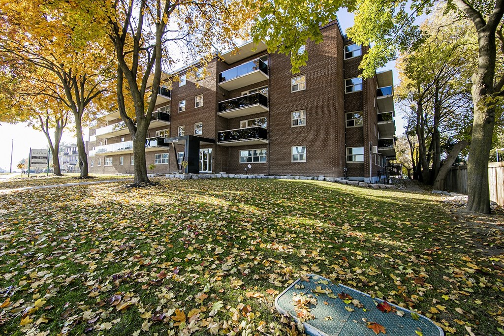 a grassy area with trees and a metal grate in front of a brick building
