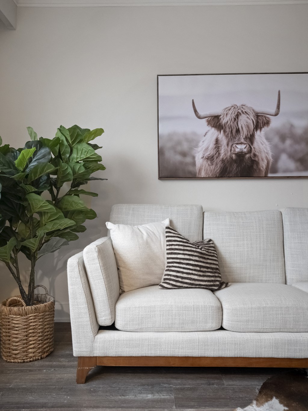 a highland cow canvas art print on the wall in a living room