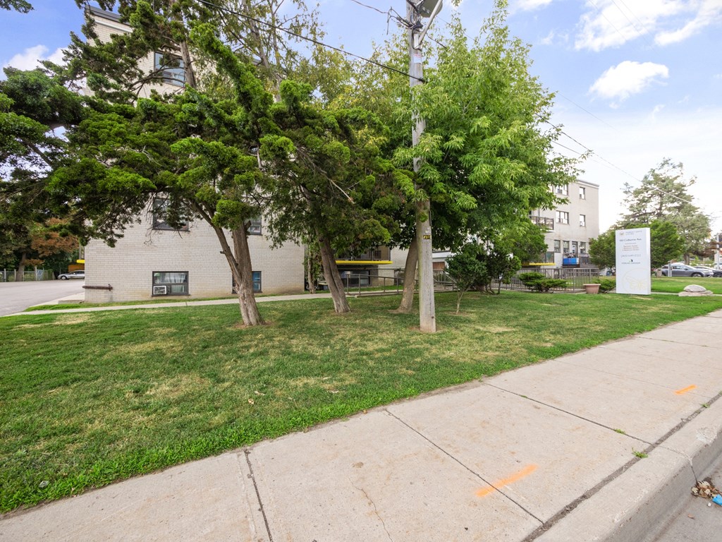 a grassy area with trees and a white building in the background