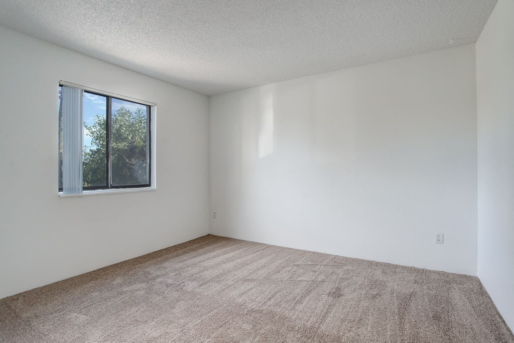 an empty room with carpet and a window