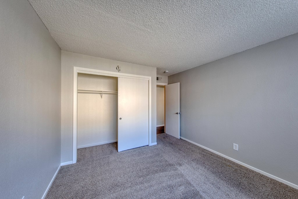 a bedroom with a carpeted floor and a closet with a mirrored door