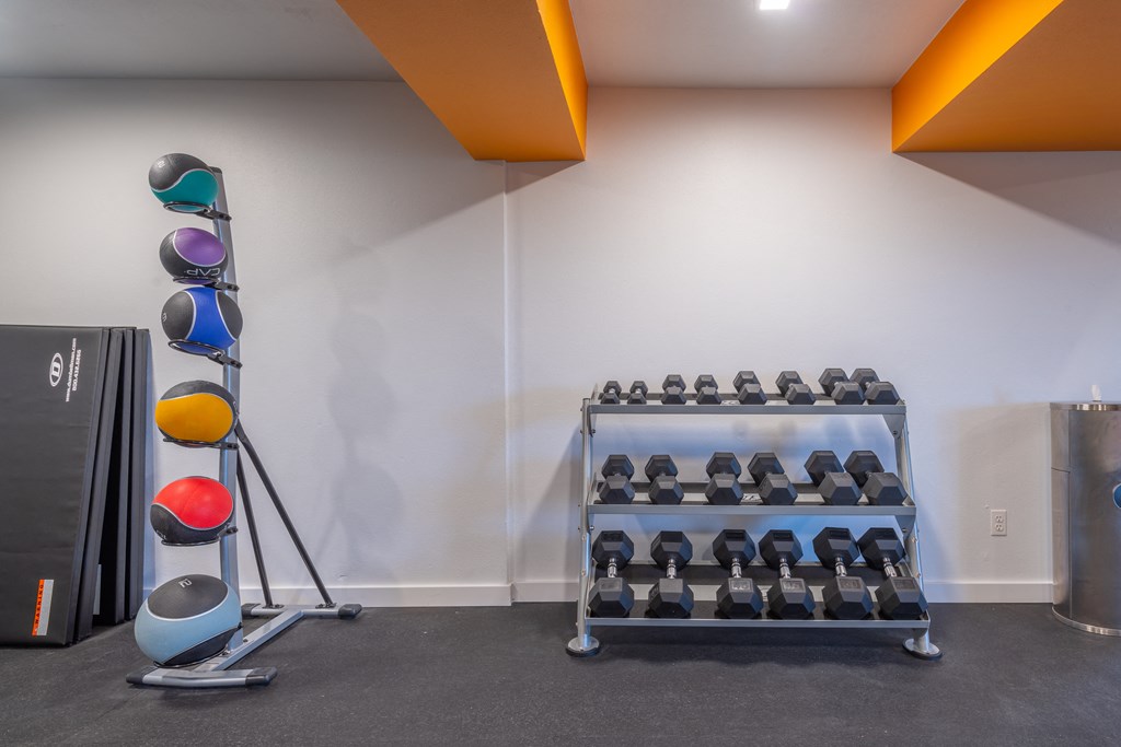 a rack of dumbbells in the corner of a room with white walls and orange and