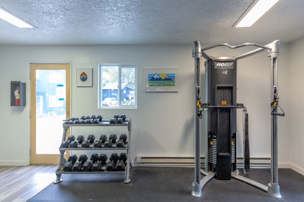 a fitness room with a treadmill and weights
