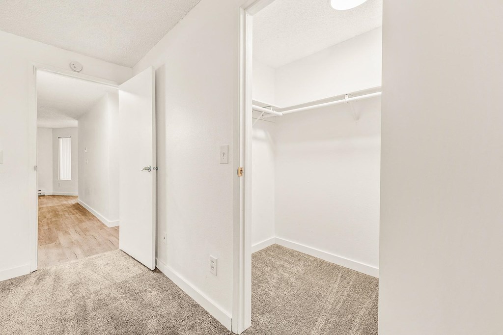 a bedroom with white walls and a carpeted floor