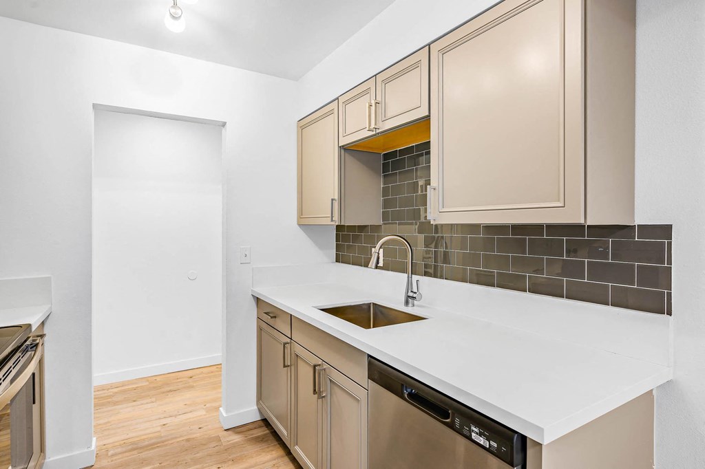 a kitchen with white countertops and a stainless steel dishwasher