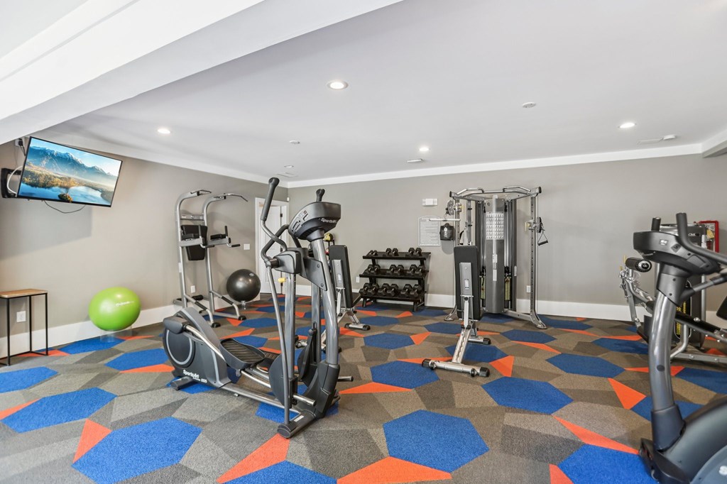 A gym with a variety of equipment including treadmills, weights, and a television.