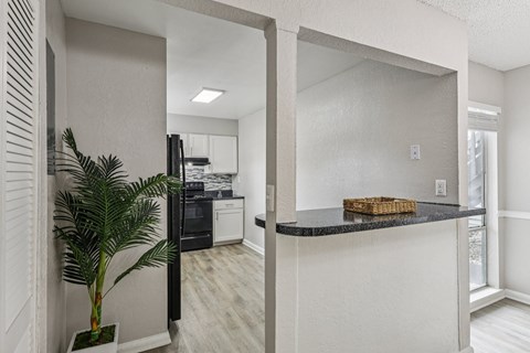 A kitchen with a black countertop and a plant in a pot.
