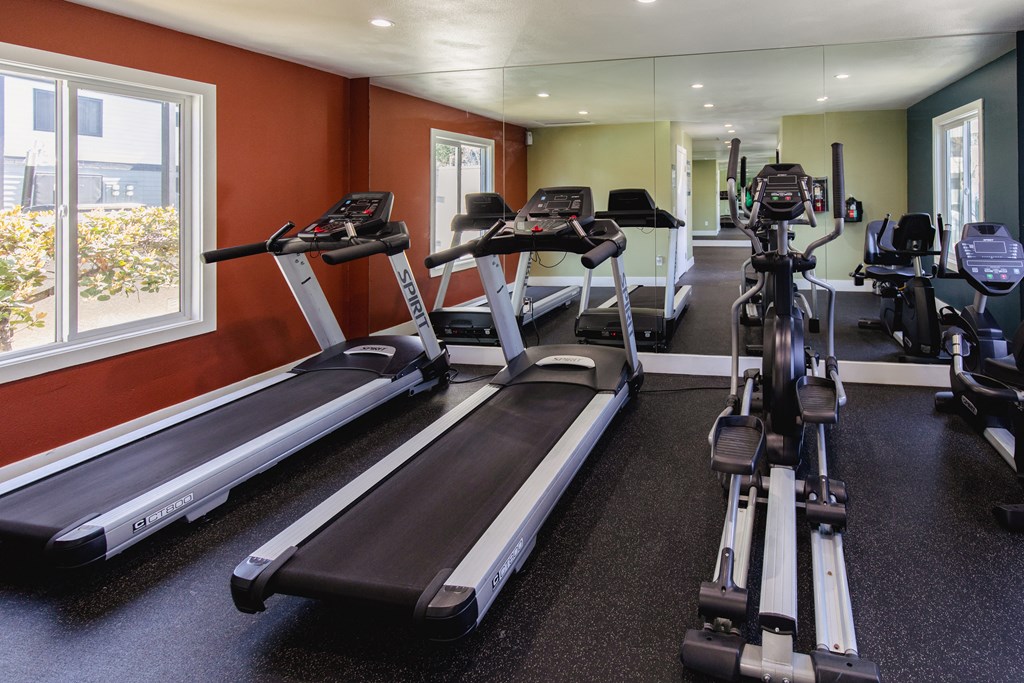 a gym with treadmills and elliptical machines